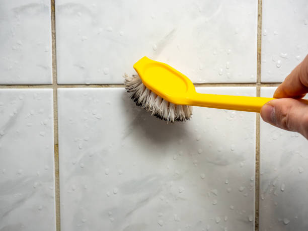 Best Health and Safety Mold Remediation in El Rio, CA